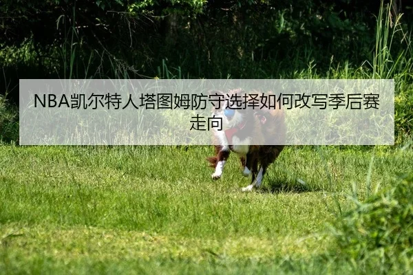 kai-er-te-ren-ta-tu-mu-fang-shou-xuan-ze-ru-he-gai-xie-ji-hou-sai-zou-xiang-2-520.jpg
